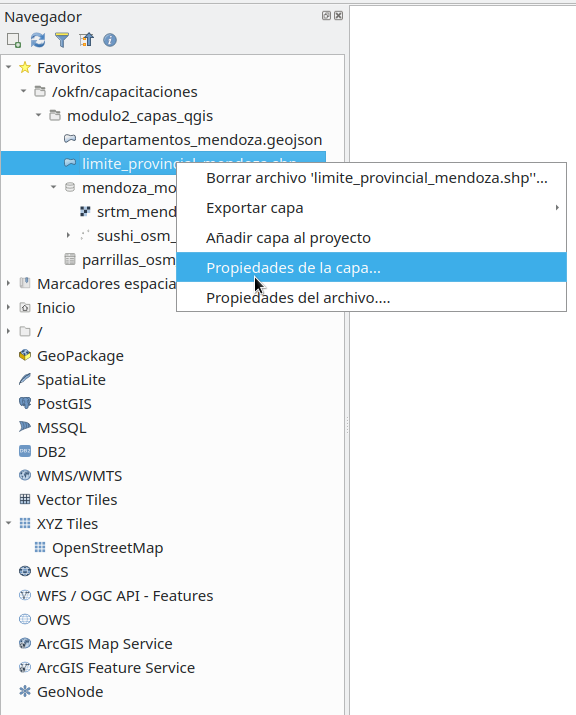 Checking Layer Properties