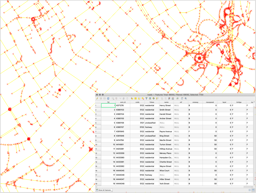 Vector lines representing streets and the associated attribute table